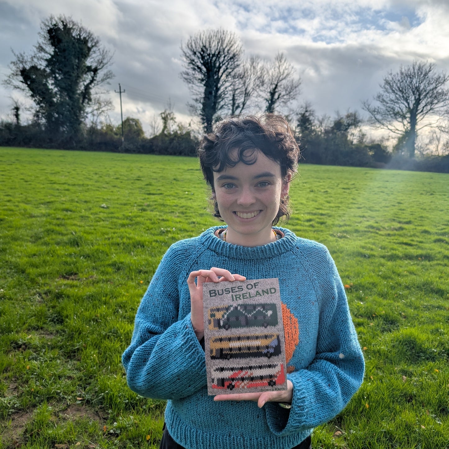 Buses of Ireland print